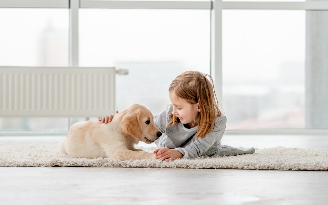 Unspoken Affection: Understanding Your Pet’s Loving Gestures